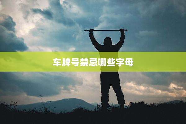 车牌号禁忌哪些字母