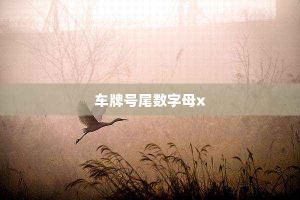 车牌号尾数字母x