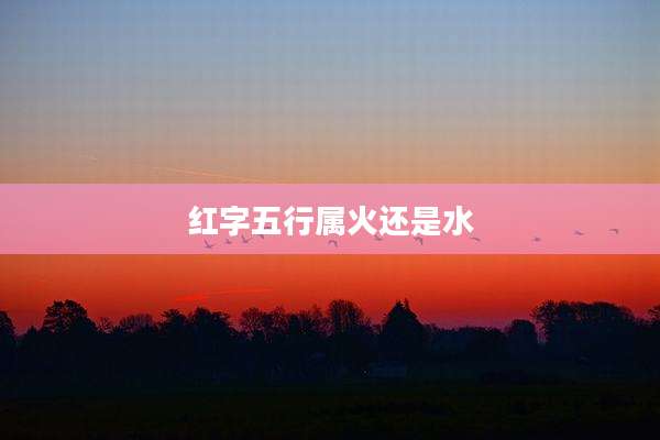 红字五行属火还是水