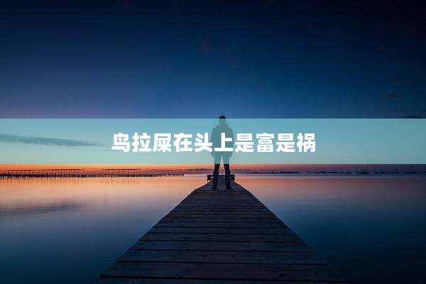 鸟拉屎在头上是富是祸