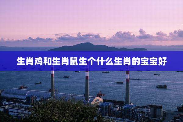 生肖鸡和生肖鼠生个什么生肖的宝宝好