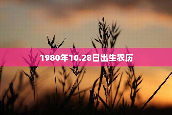 1980年10.28日出生农历