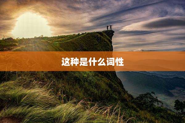 这种是什么词性