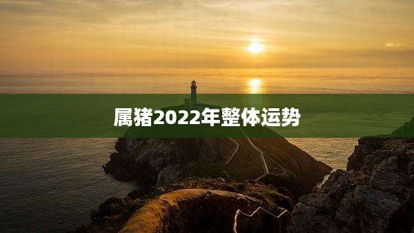 属猪2022年整体运势