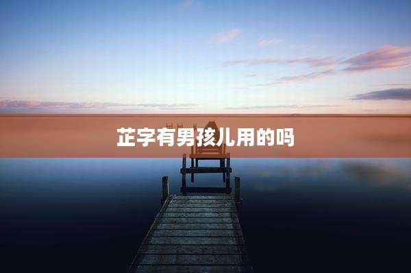 芷字有男孩儿用的吗
