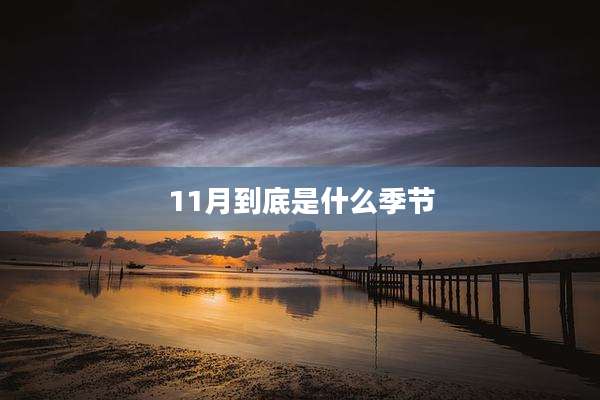 11月到底是什么季节