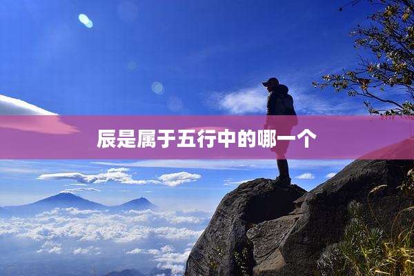 辰是属于五行中的哪一个