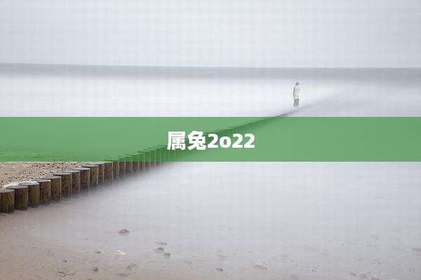 属兔2o22