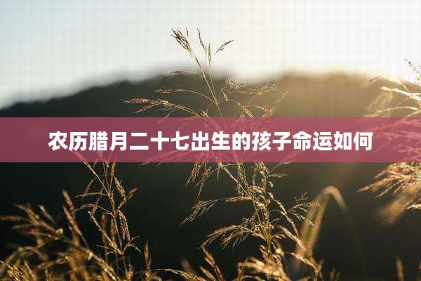 农历腊月二十七出生的孩子命运如何