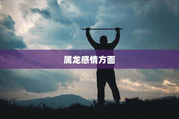 属龙感情方面