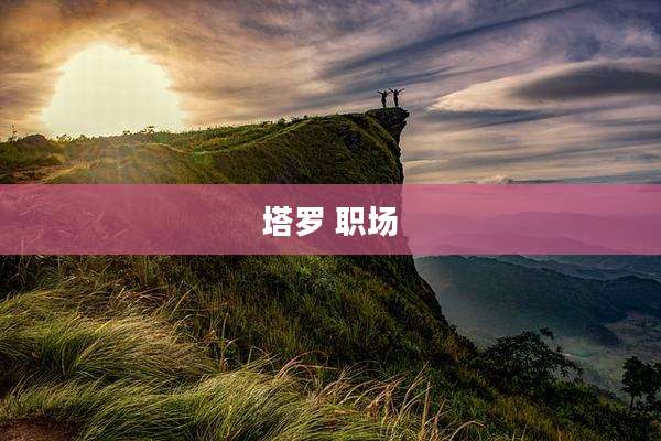 塔罗 职场