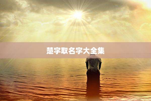 楚字取名字大全集