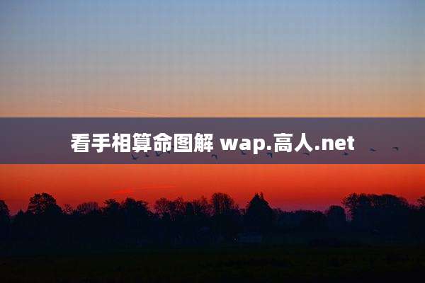 看手相算命图解 wap.高人.net