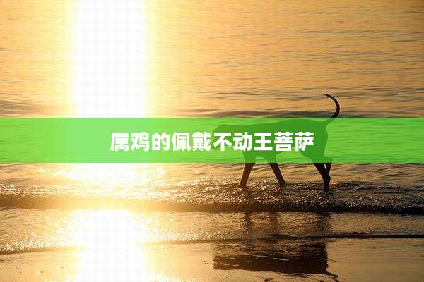 属鸡的佩戴不动王菩萨