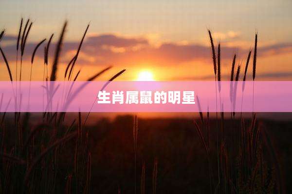 生肖属鼠的明星