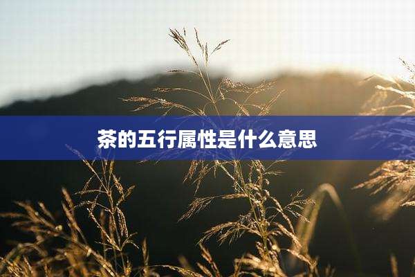 茶的五行属性是什么意思