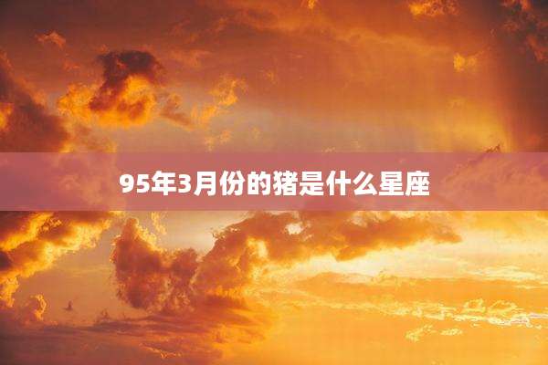 95年3月份的猪是什么星座