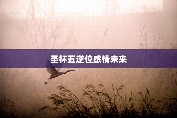 圣杯五逆位感情未来