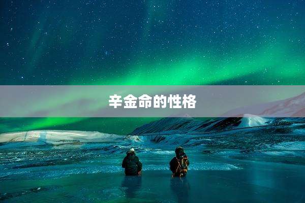 辛金命的性格