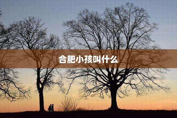合肥小孩叫什么
