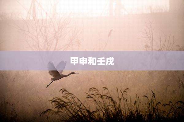 甲申和壬戌