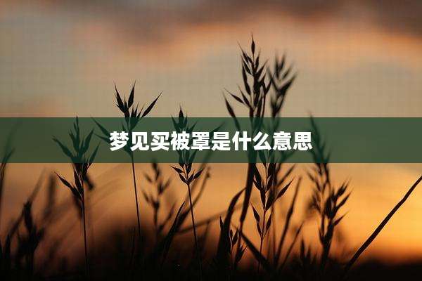 梦见买被罩是什么意思