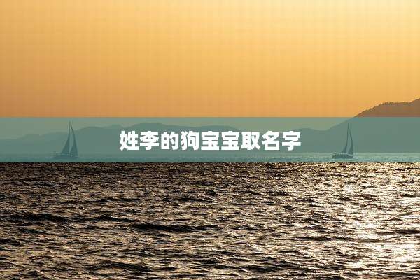 姓李的狗宝宝取名字