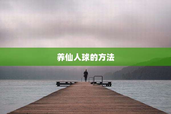 养仙人球的方法