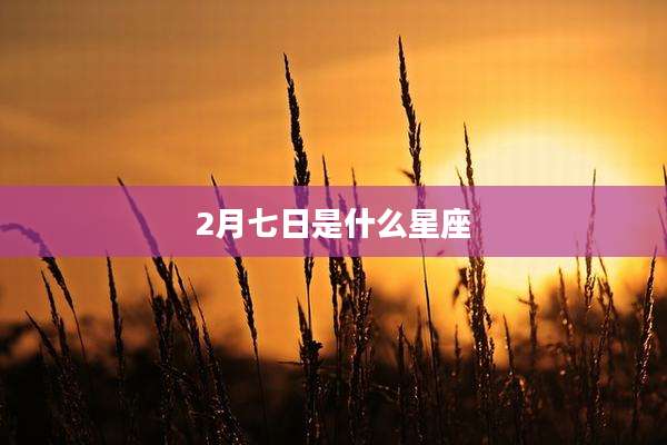 2月七日是什么星座