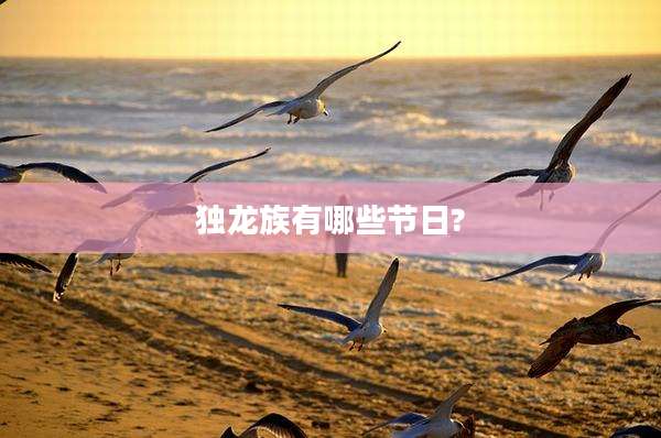 独龙族有哪些节日?