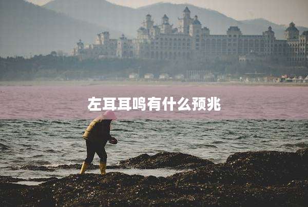 左耳耳鸣有什么预兆