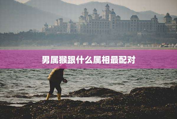 男属猴跟什么属相最配对