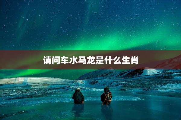 请问车水马龙是什么生肖