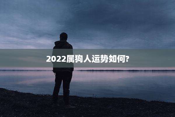 2022属狗人运势如何?