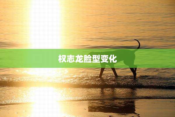 权志龙脸型变化