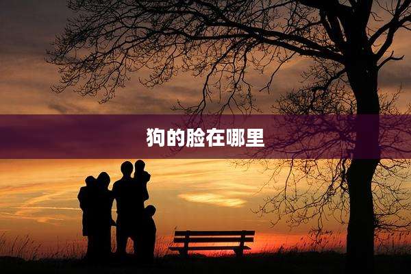 狗的脸在哪里