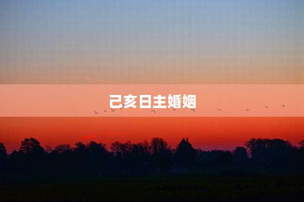 己亥日主婚姻