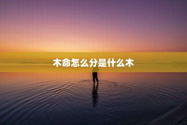 木命怎么分是什么木