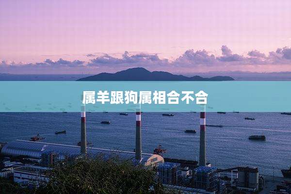 属羊跟狗属相合不合