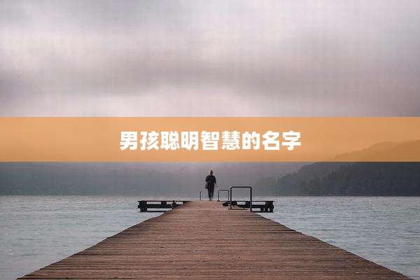 男孩聪明智慧的名字