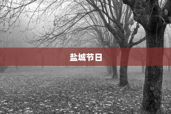 盐城节日