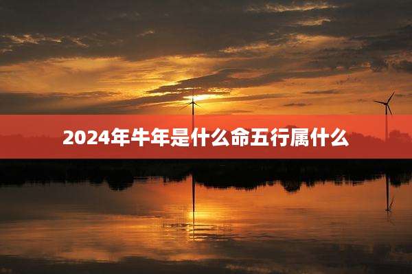 2024年牛年是什么命五行属什么