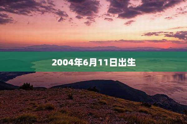2004年6月11日出生
