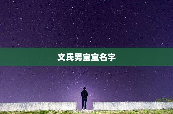 文氏男宝宝名字