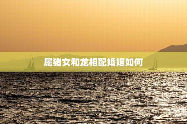 属猪女和龙相配婚姻如何