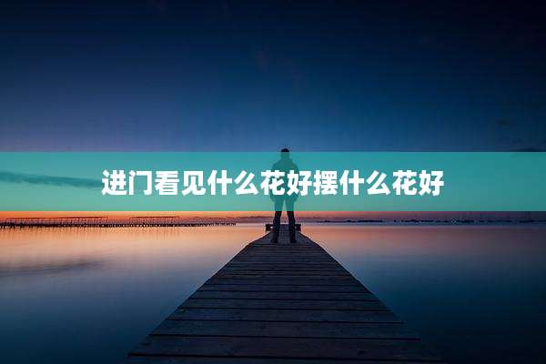 进门看见什么花好摆什么花好