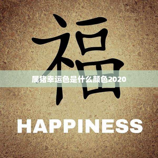 属猪幸运色是什么颜色2020
