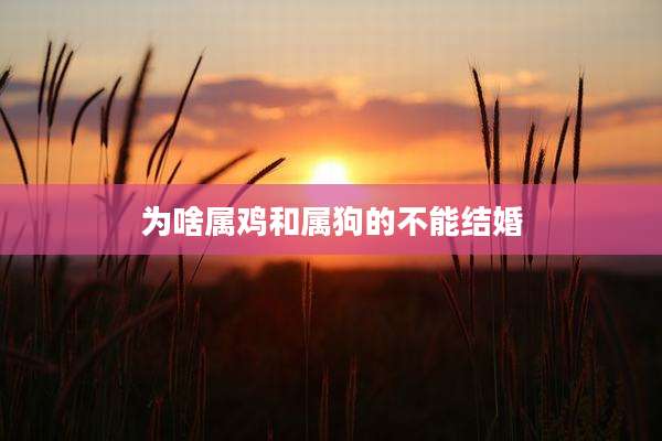 为啥属鸡和属狗的不能结婚