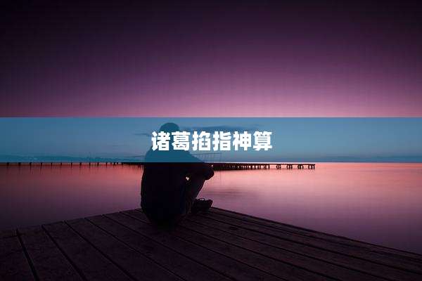 诸葛掐指神算