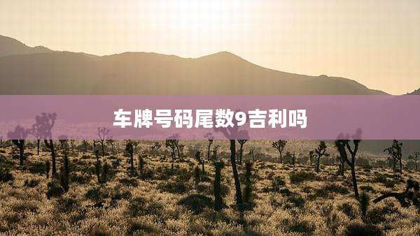 车牌号码尾数9吉利吗